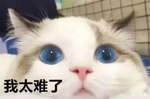 十二星座的&OpenCurlyDoubleQuote;難過&rdquo;，都會有哪些區別？