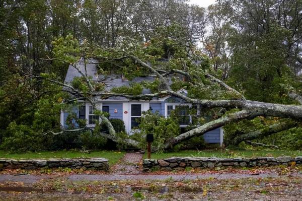 巨大風暴席捲美國,數十萬家庭陷入停電危機,聯合國預言成真了? 巨大風暴席捲美國,數十萬家庭陷入停電危機,聯合國預言成真了?