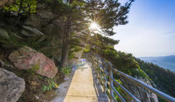 天蒙山中的冬日美景,一刻也不容錯過! 天蒙山中的冬日美景,一刻也不容錯過!