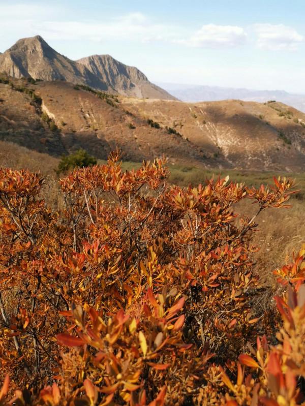宣化紅一師老戰友遊走大明宣府青邊口，晚秋景色亦迷人