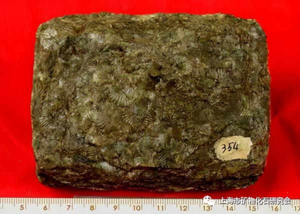 周梅教授：漫話方解石