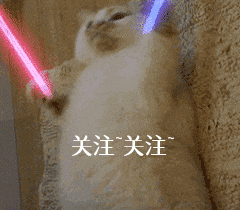 鬆獅犬這幾個“缺點”，真的勸退我了