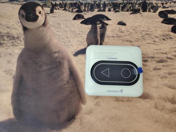 咕咕機G4-一款不錯的巴掌印表機