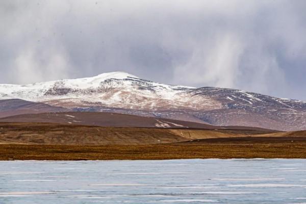 可可西里，到底是怎樣一個地方