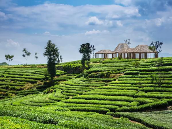 老外選出了最讓他們佩服的8箇中國房子