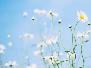 三十歲,我才明白的道理 三十歲,我才明白的道理