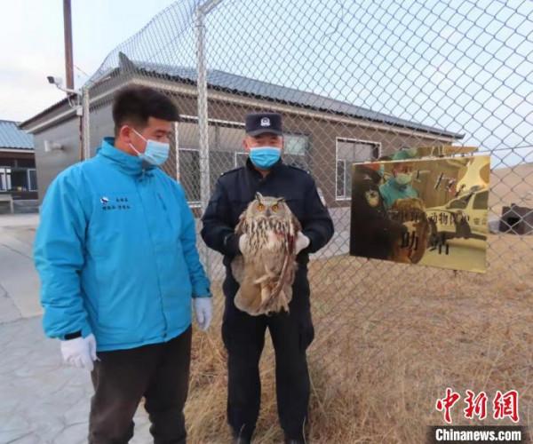 “萌禽”受傷 民警暖心救助