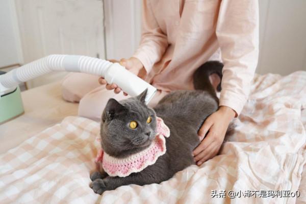 入秋後我就離不開了，這6款小家電真的很“哇塞”