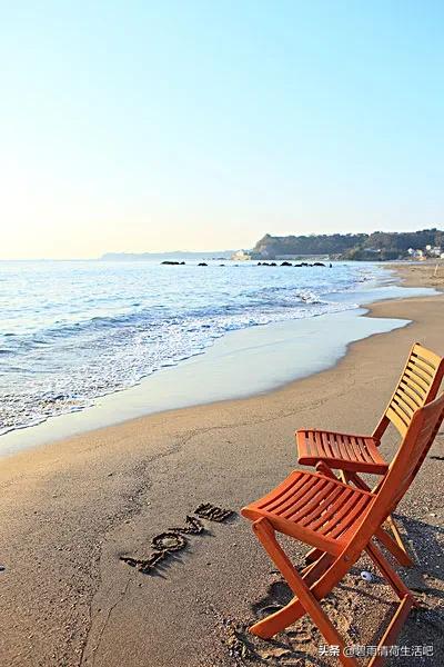 周姐的無悔人生 周姐的無悔人生