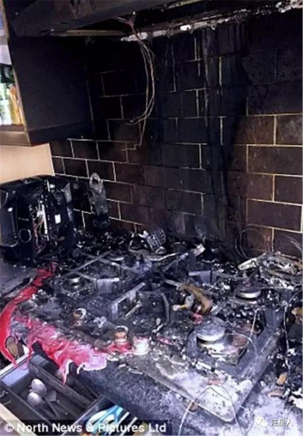 廚房突發大火,僅有2個月的小金毛死裡逃生 廚房突發大火,僅有2個月的小金毛死裡逃生