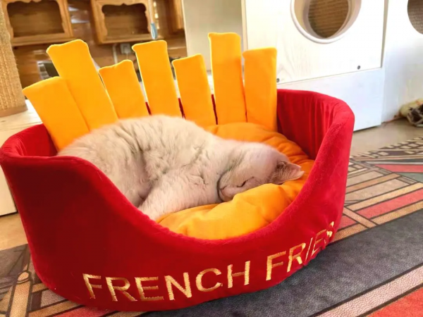 我 · 美食博主 · 觀復煎蛋