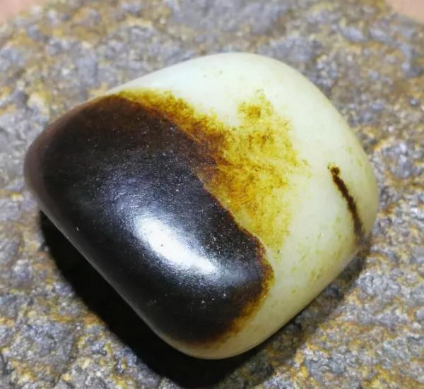 800多萬成交！這種“黑美人”絕對值得你收藏