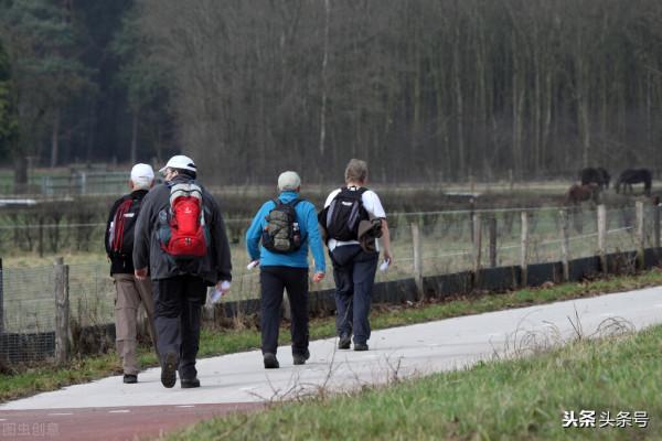 為什麼建議選擇超慢跑而不是暴走？暴走正在成為“毀膝殺手”