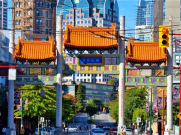 20世紀，越南黑幫在海外欺負中國人，大圈幫得知後，暴打越南黑幫