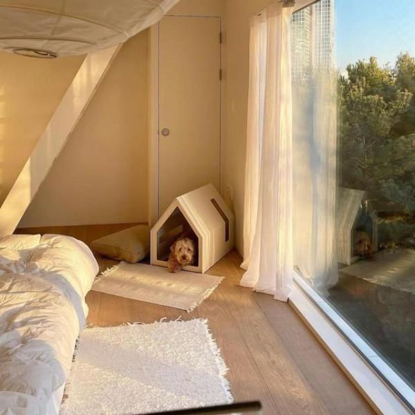 90後韓國女主曬獨居生活照:悠閒精緻,在她家看見歲月靜好的模樣 90後韓國女主曬獨居生活照:悠閒精緻,在她家看見歲月靜好的模樣