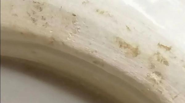 古瓷器鑑定討論帖:北宋定窯瓜式提樑壺辨識 古瓷器鑑定討論帖:北宋定窯瓜式提樑壺辨識