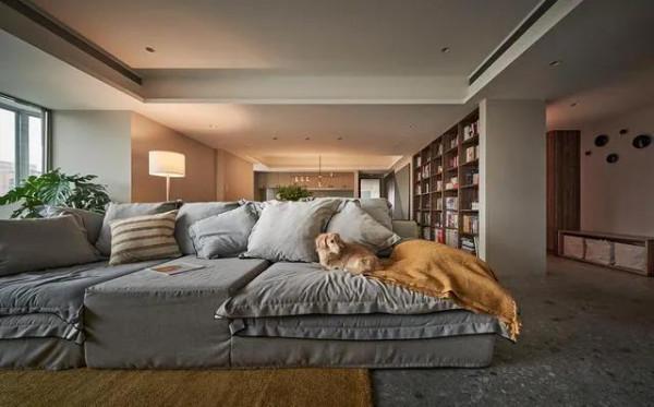 給你的寵物一個家 給你的寵物一個家