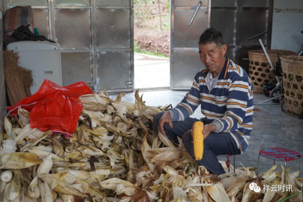 祥雲:鄉村人家的幸福底色 祥雲:鄉村人家的幸福底色