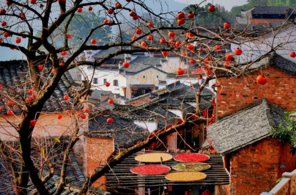 國家地理評選中國最美六大鄉村，美得像人間天堂，你最喜歡哪一個
