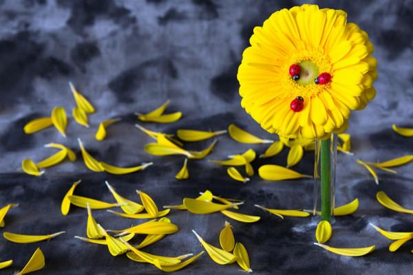 “人情如紙薄”:心裡再苦,有些事也別告訴外人,這是做人的智慧 “人情如紙薄”:心裡再苦,有些事也別告訴外人,這是做人的智慧