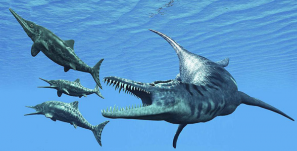 地球上本來沒有人,人類從何而來?第一個誕生的人是男人還是女人 地球上本來沒有人,人類從何而來?第一個誕生的人是男人還是女人