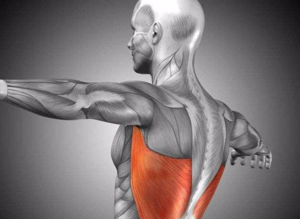 拉肚子，脊椎問題成“元兇”，這不是笑話