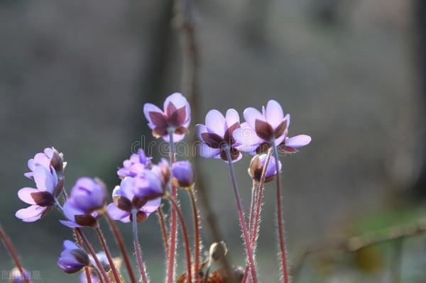 活在這世上,一定要明白這個道理:靠人不如靠己 活在這世上,一定要明白這個道理:靠人不如靠己