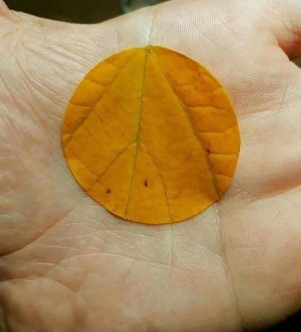 這36張照片,簡直是完美主義者的福音 這36張照片,簡直是完美主義者的福音