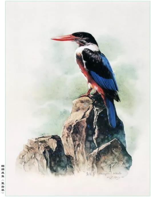 中國動植物畫第一人，曾孝濂極品工筆畫