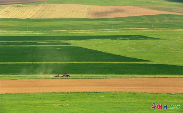 帶你的心靈去遠方！雲遊“醉美天堂”額侖草原（純美組圖）