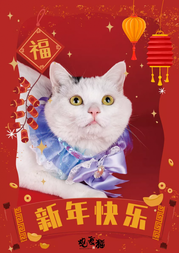 觀復貓拜大年，嗷嗚