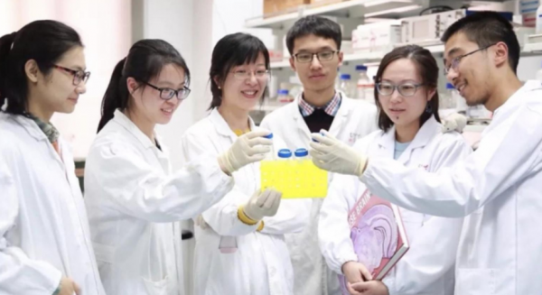 “直博”和“碩博連讀”的差距，不只在含金量，難怪導師也會偏愛