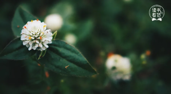 人生三境界：年輕時看遠，中年時看寬，晚年時看淡