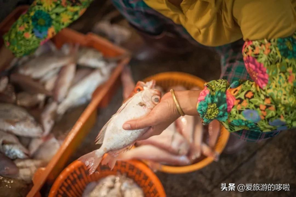 9分神片迴歸!中國人有多會吃海鮮?第一集就讓人邊流口水邊流淚 9分神片迴歸!中國人有多會吃海鮮?第一集就讓人邊流口水邊流淚