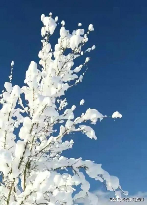 天氣預報：2022年是不是好年景？今天臘八節能預兆！看諺語怎麼說