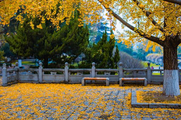 一見南京誤終身!忽然,想去金陵了 一見南京誤終身!忽然,想去金陵了