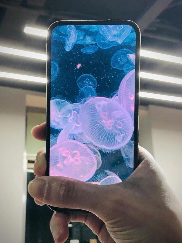 不等蘋果14pro了，蘋果 15pro已經入手