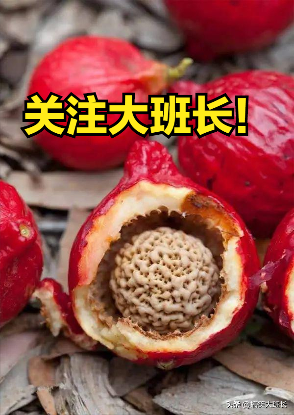 那些炒火了的文玩，買回來就涼涼了，說多了都是眼淚恨不得剁手