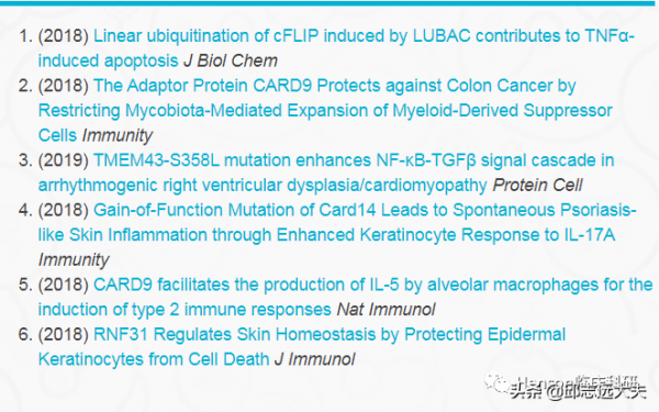 解析NF-κB訊號通路