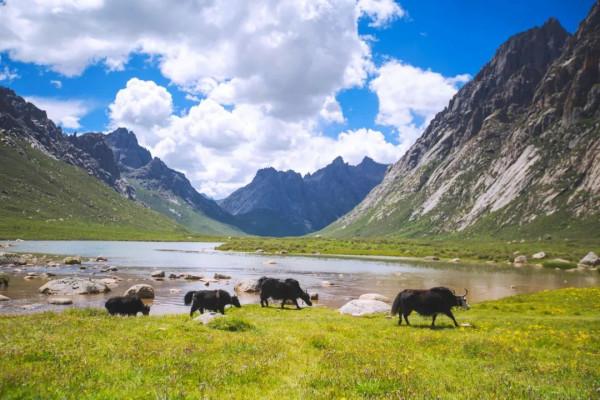 吐血整理！這10條精華自駕線路！每條線路沿途風景都無比驚豔