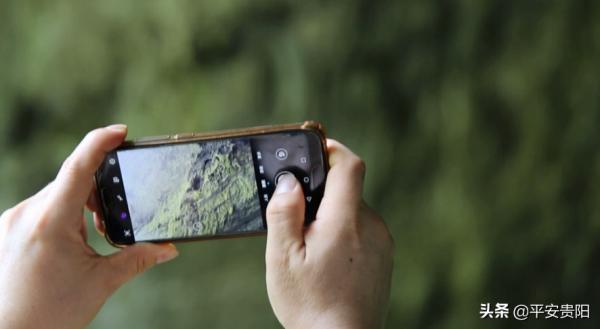 國家一級保護動物！全球只有1900多隻的野生黑葉猴，在貴州這裡就有1200多隻！