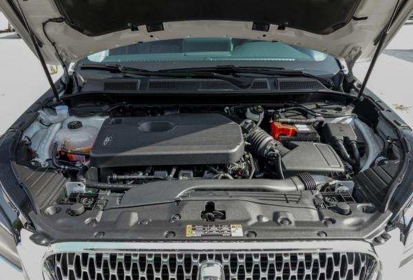 超精緻的豪華品牌緊湊級SUV 小年輕的最愛 超精緻的豪華品牌緊湊級SUV 小年輕的最愛