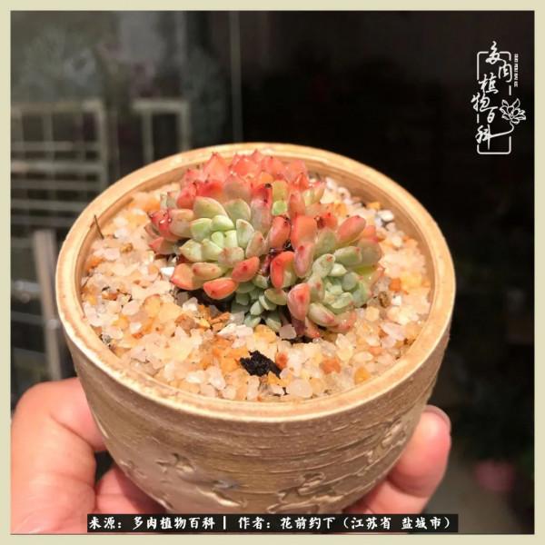 你儘管善良,福報都在路上 你儘管善良,福報都在路上