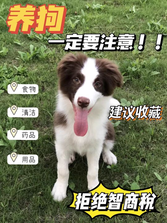 拒絕智商稅！原來有這麼多坑？