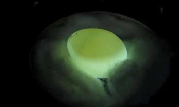 甲狀腺激素讓胎兒出生後更年輕,抗衰老能從“生前”開始? 甲狀腺激素讓胎兒出生後更年輕,抗衰老能從“生前”開始?