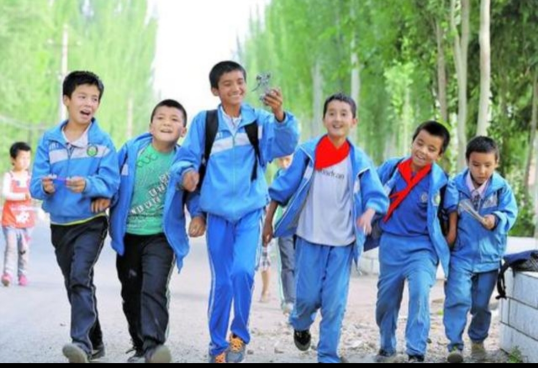 雙減落地後，民辦學校和公辦學校差距越來越大？家長：我太難了