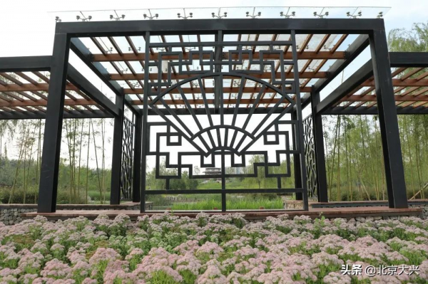 大興有處藏在城市中的“秘密花園”，超美！