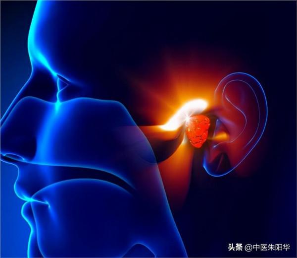 耳，腎之竅！耳痛，耳脹，耳出血，卻用調肝的方子治好，請你品味