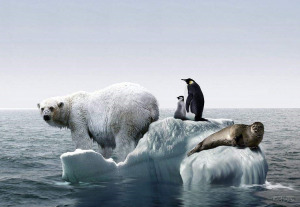 地球神奇的火與火之歌,什麼推動了地球幾億年的冷熱迴圈? 地球神奇的火與火之歌,什麼推動了地球幾億年的冷熱迴圈?