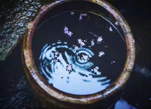 賞讀：《秋分之夜》（外一首）